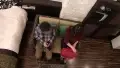 017EQ-398 ラブホ盗撮完全保存版 10時間100人 sample_12